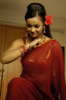 Tanu Roy Hot Saree Photos